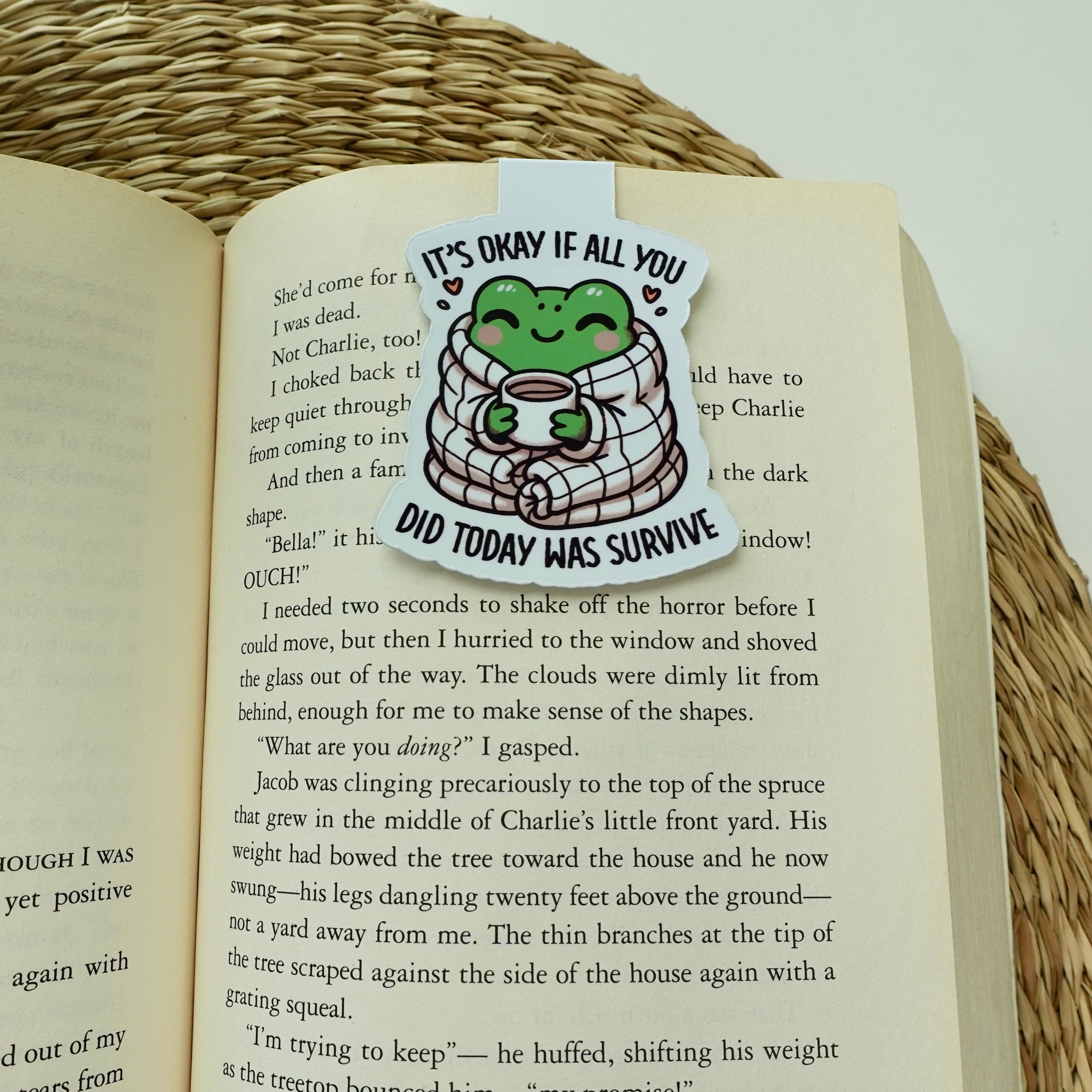 It's Okay Froggy Magnetic Bookmark