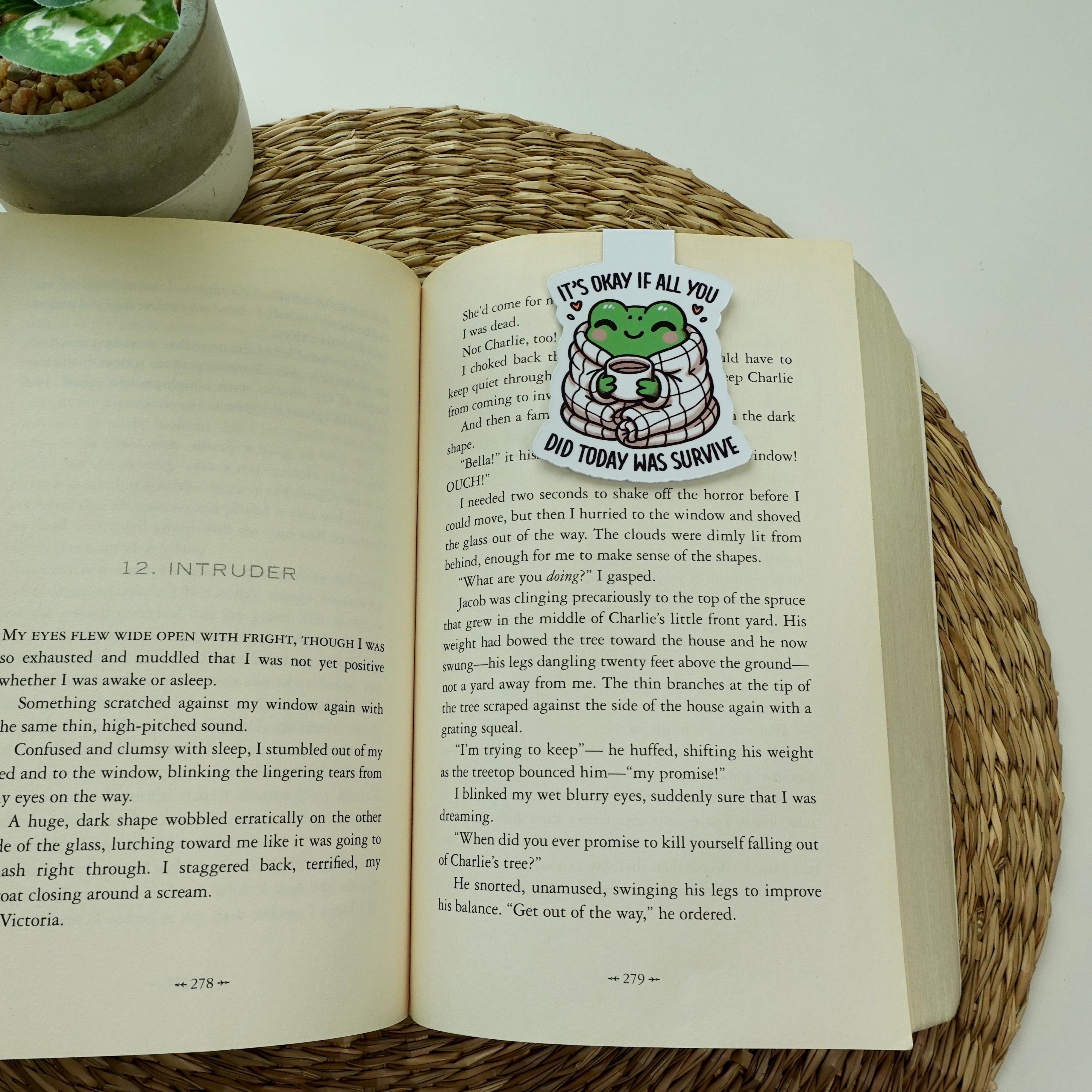 It's Okay Froggy Magnetic Bookmark